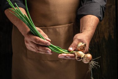 Elinde yeşil soğan başları, taze biçilmiş sebzeler tutan bir çiftçinin elleri.,