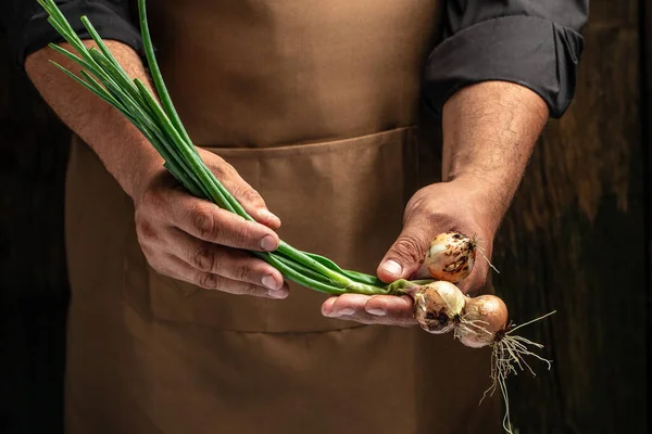 Elinde yeşil soğan başları, taze biçilmiş sebzeler tutan bir çiftçinin elleri.,