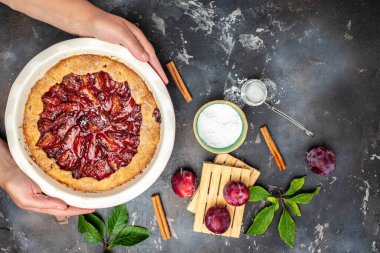 Plum Galette. Woman hands holds plum cake or pie. banner, menu, recipe place for text.