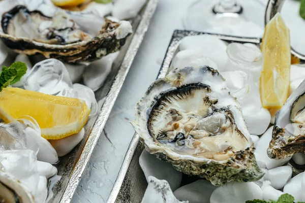 Opened Oysters Champagne Restaurant Fresh Oysters Lime Lemon Ice Banner — Foto Stock