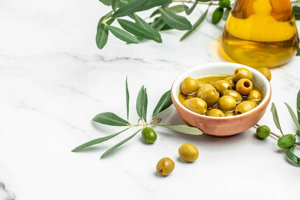 olive oil olive branch tree on light background. Long banner format,