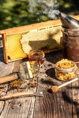 Altın bal dolu bir arı kovanından alınan bal peteğinin arkaplan dokusu ve deseni. Arı ürünleri organik doğal bileşenler kavramına göre.