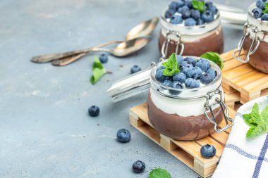 Lezzetli çikolatalı mus veya kremalı puding. Yaban mersinli çikolatalı panna cotta. Çikolatalı puding ve Yunan yoğurt parfe.