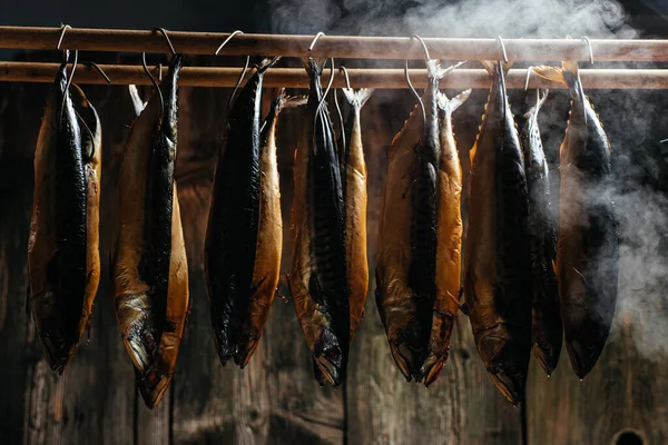 Appetizing smoked mackerel Fish Smoking Process For Home Use. fish hanging side by side in a smoker. Smoked Mackerel. Smoking Process Fish In Smokehouse.