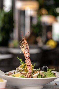 Sağlıklı salata tabağı deniz ürünleri yumurtası ve karides. Yemek tarifi geçmişi. Dikey görüntüyü kapat. metin için yer.