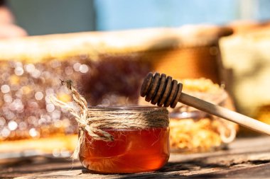 Bal peteğindeki arı kovanının makro fotoğrafı. Arılar taze ve sağlıklı üretirler, tatlım. Bal geçmişi. Arıcılık konsepti.