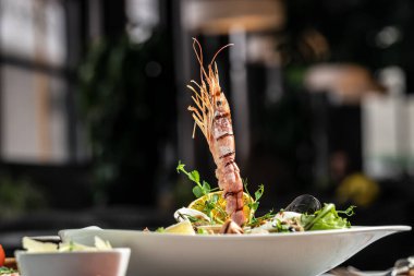 Marullu karides salatası yeşil karışım, bitkiler ve zeytinyağı, limon.