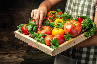 Kutuda çeşitli renkli domatesler ve dolmalık biberler. Taze sebzeler ve bitkiler..