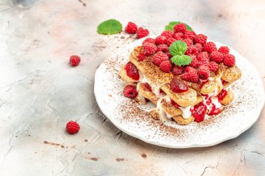 Böğürtlen ve nane aromalı Tiramisu Tatlısı. Hafif arka planda geleneksel İtalyan tatlısı..