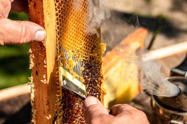 beekeeper collects the honey. beekeeping tools outside. frame with bees wax structure full of fresh bee honey in honeycombs. Beekeeping concept.