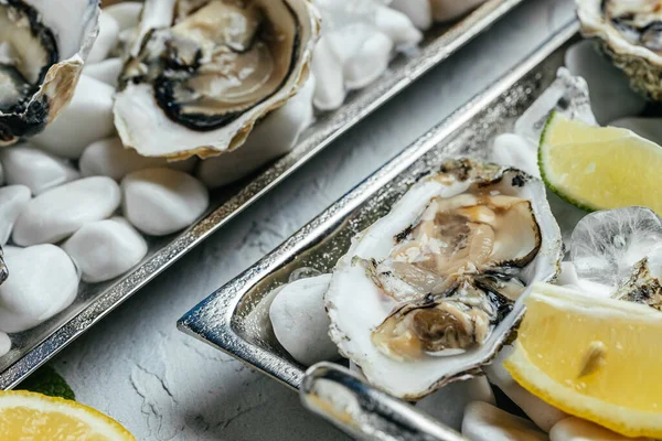 Opened Oysters Champagne Restaurant Fresh Oysters Lime Lemon Ice Banner — Foto Stock