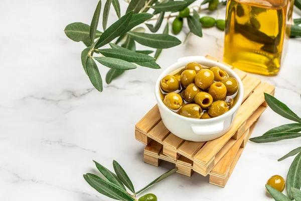 Hafif arka planda zeytinyağı dalı. Uzun pankart biçimi,