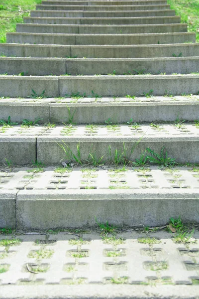 Beautiful Concrete Large New Steps Beautiful Park — стоковое фото