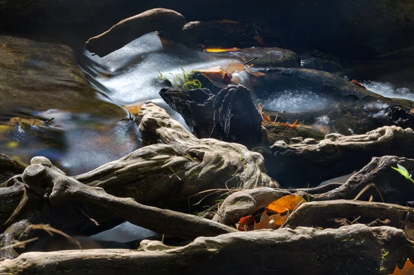 Small stream with logs and leaves.