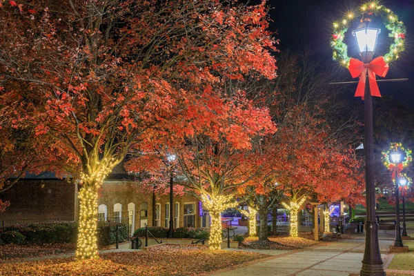 Atlanta banliyösünde Noel tatili ışıkları ile süslenmiş kırmızı yapraklı ağaçlar.