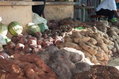 Nagua, Mara Trinidad Snchez, 26 Kasım 2010 - Dominik Cumhuriyeti 'nde sebze pazarı