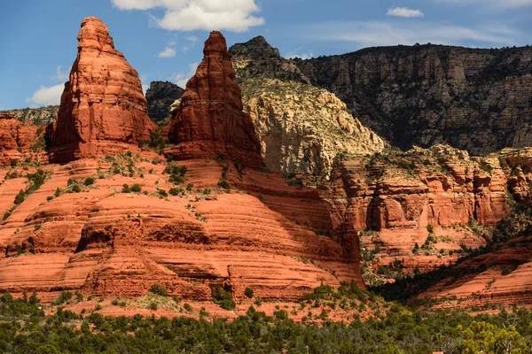 Kırmızı kayalar Bayan sedona