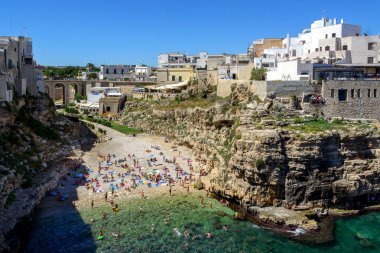 Polignano kısrak