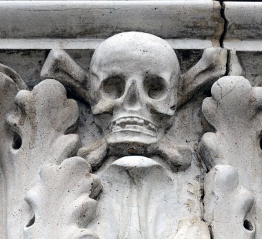 kafatası ve kemiklerin