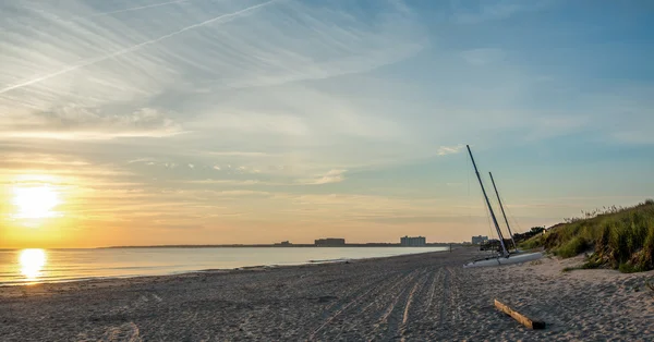 Laska na plaży — Zdjęcie stockowe