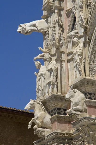 Detail of the facade of the cathedral of Siena — Stock Photo, Image