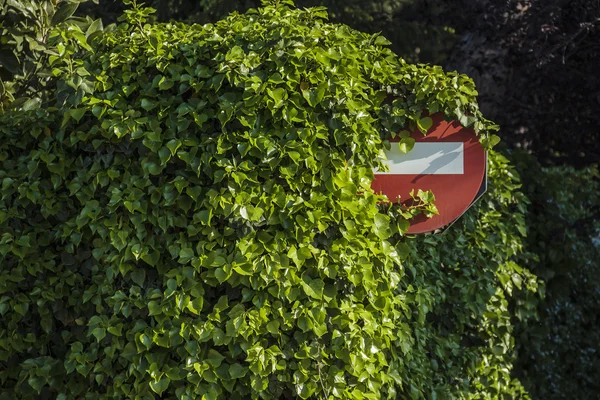 Verkeer signaal — Stockfoto