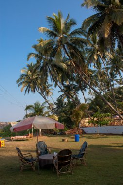 Café avuç içi altında