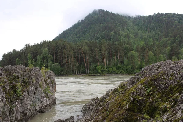 Sziklák Altai Hegyek Folyó Természetben Turisták Számára — Stock Fotó