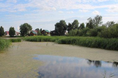 Deniz yosunlu bir göl turistler için bataklık bir gölet kıyı manzarasında evleri rahatlatmak için.