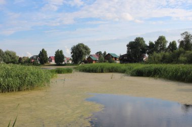 Deniz yosunlu bir göl turistler için bataklık bir gölet kıyı manzarasında evleri rahatlatmak için.