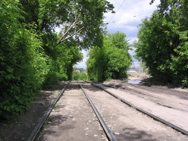 Trilhos Vazios Ferrovia Para Trens Parque — Fotografia de Stock