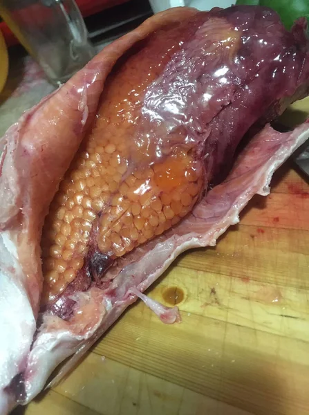 魚の切り身にキャビアの冷凍キャッチと珍味 — ストック写真