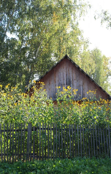 Casa Campo Madera Verano Jardín Con Árboles Para Recreación — Foto de Stock
