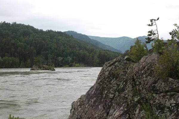 Rocas Montaña Junto Río Altai Verano Naturaleza Para Los Turistas —  Fotos de Stock