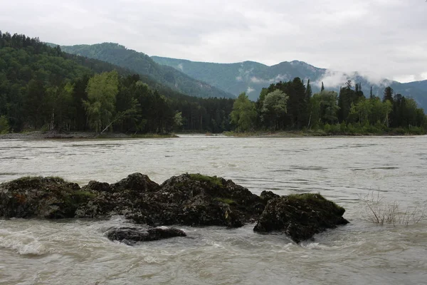 Hegyi Sziklák Folyó Mellett Altai Nyári Természet Turisták Számára — Stock Fotó