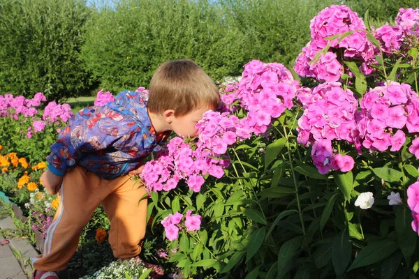 Oroszország Novoszibirszk 2021 Egy Kisfiú Sétál Parkban Virágokat Szagolgatva Kertben — Stock Fotó