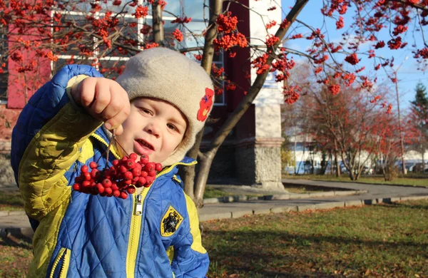 Russia Novosibirsk 2021 Small Child Boy Walk Autumn Park Laughing — стоковое фото