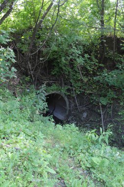 sewage pipe for industrial wastewater pollutes the environment