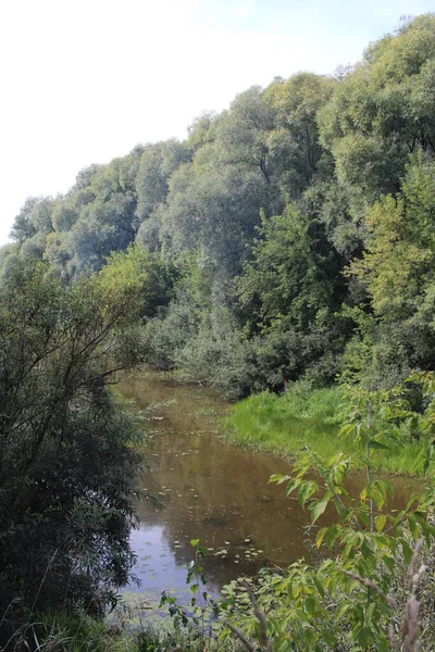 Summer Landscape Nature Lake Trees River Fishing — Stockfoto