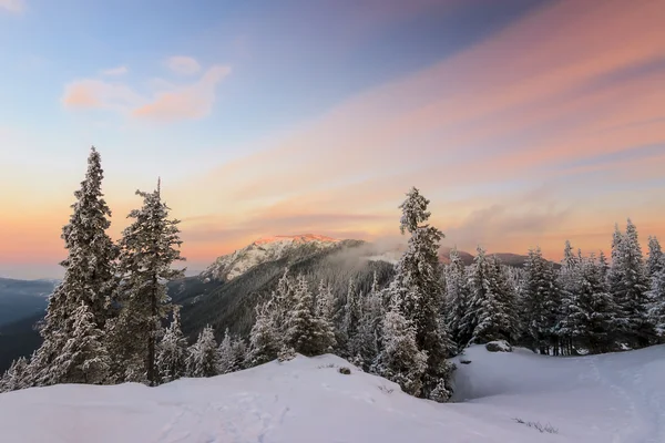 Invierno amanecer paisaje —  Fotos de Stock