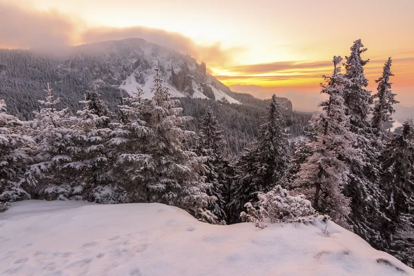Winterliche Sonnenaufgangslandschaft — Stockfoto