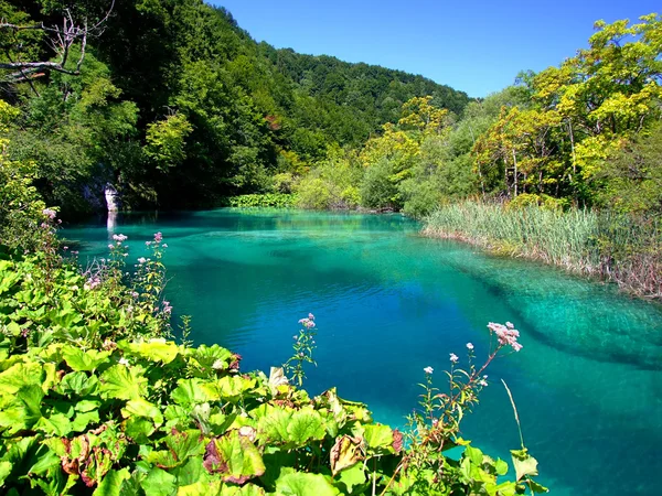 Parque Nacional de los Lagos de Plitvice, Croacia — Foto de Stock