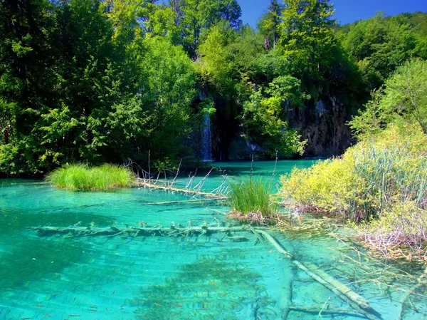 Nationaalpark Plitvice lakes, Kroatië — Stockfoto