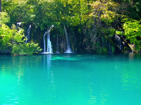 Nationalparken Plitvicesjöarna, Kroatien — Stockfoto