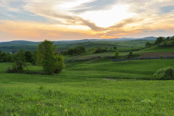 Beau coucher de soleil sur le champ de printemps — Photo