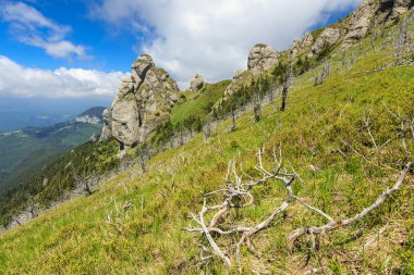 jeolojik oluşumlar ciucas dağlar, Transilvanya, Romanya