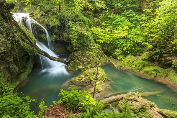 Inanılmaz vaioaga şelale, beusnita Milli Parkı, Romanya — Stok fotoğraf