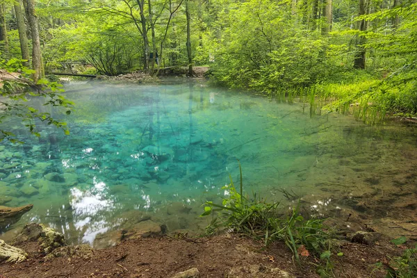 Majestic clean lake in forest, Ochiul Bei, Beusnita National Park, Romania — стоковое фото