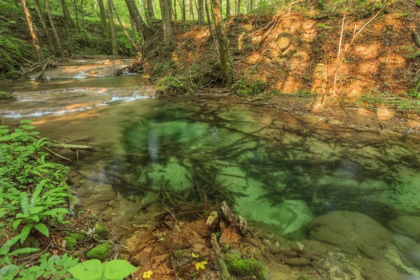 Mäandernder Fluss und Kaskaden im Wald — Stockfoto