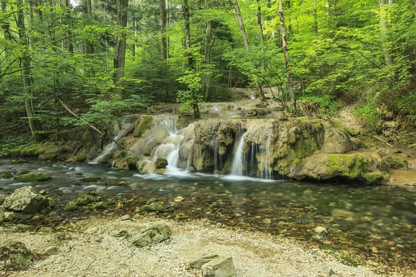 Verbazingwekkend cascades stroomt en duidelijk rivier in bos, beusnita Nationaalpark, Roemenië — Stockfoto